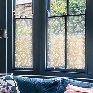 Agira Frosted Privacy Window Film by Creative Printing Solutions