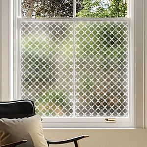 Airasca Frosted Window Film by Creative Printing Solutions