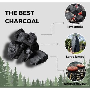 Premium Hardwood Lumpwood Birch Charcoal 10kg - Black / 1 by Birch Globaltic