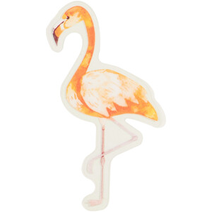 Pack of 18 Transparent Stickers - Multicolour / Birds by Artstudio