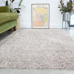 Super Soft Beige Shaggy Living Area Rug by The Rug House