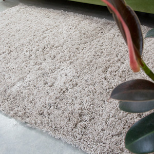 Super Soft Beige Shaggy Living Area Rug by The Rug House