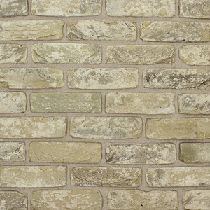 Blend 10 Brick Slips Sample Panel - Cream by The Brick Tile Company