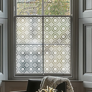 Albi Frosted Privacy Window Film by Creative Printing Solutions