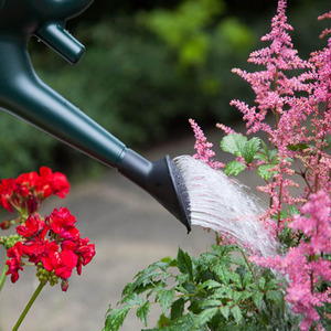 6L Green Garden Watering Can With a Detachable Rose Head Sprinkler - Green by STORM TRADING GROUP