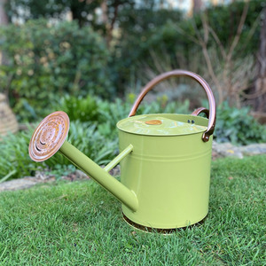 9 Litre Metal Watering Can with Rose - Sage by Selections