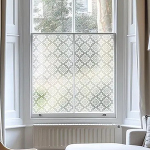 Agnosine Privacy Frosted Window Film by Creative Printing Solutions