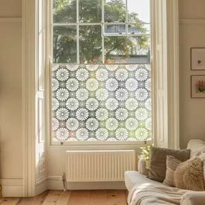 Agugliaro Frosted Privacy Window Film by Creative Printing Solutions