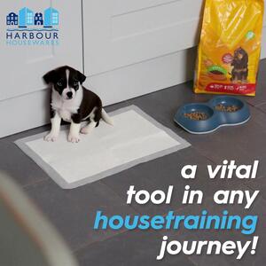 Disposable Puppy Training Pads - 60cm x 60cm - Pack of 25 - White / 100 by Harbour Housewares