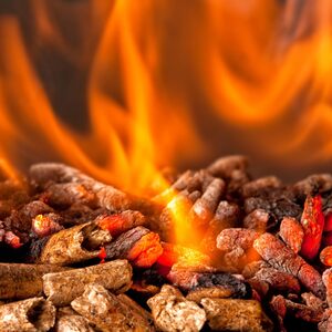 Laeto Firewood Depot Pizza Oven Wood Pellets - Neutral by Laeto