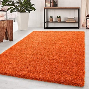 Abaseen Orange Shaggy Rug Rectangular Soft Touch Thick Pile - Orange / 110cm by Abaseen