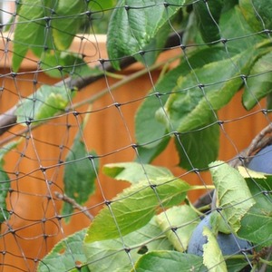 Heavy Duty Fruit Cage Netting Mole Protection Mesh by True Products