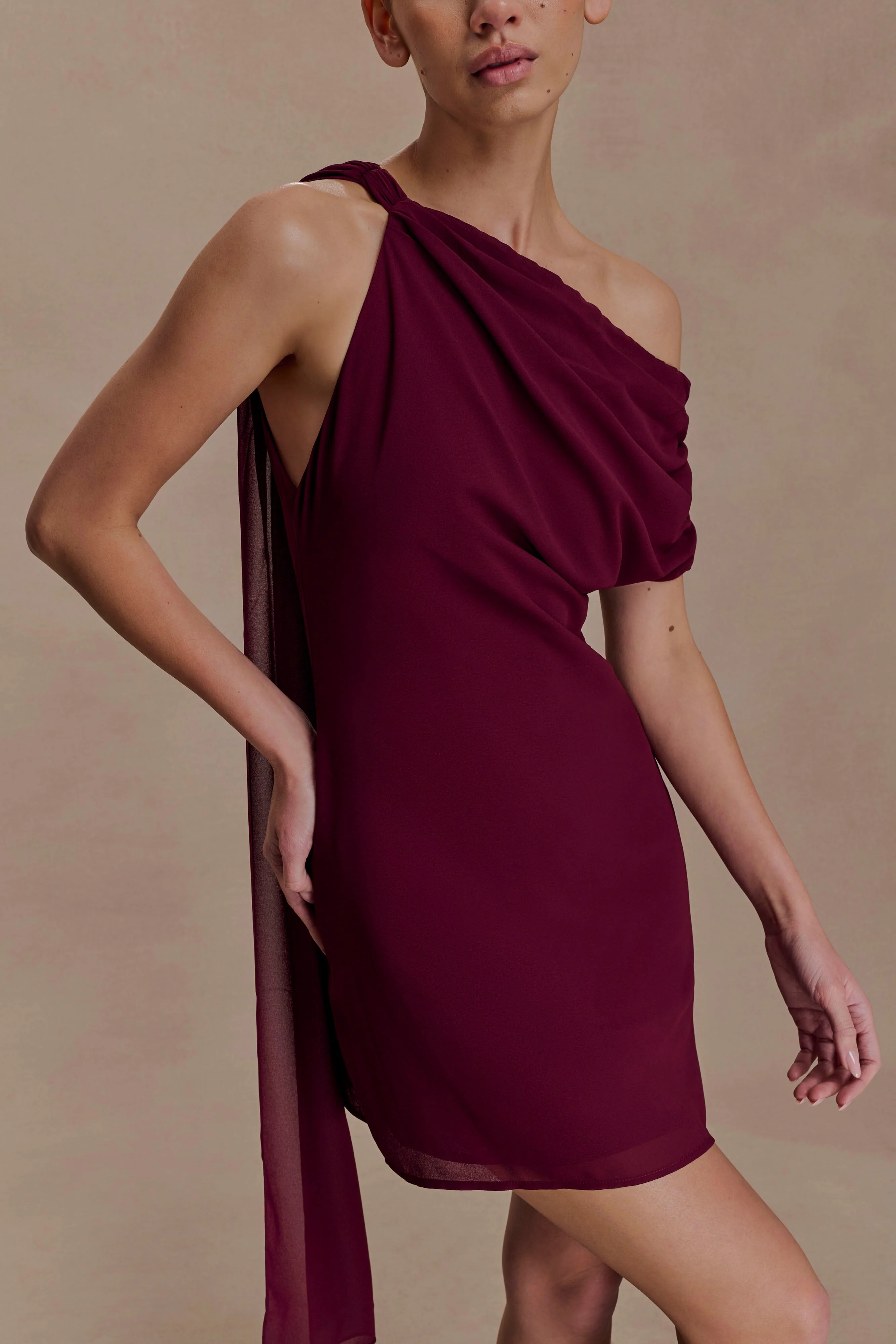 Daisie Chiffon Mini Dress - Wine