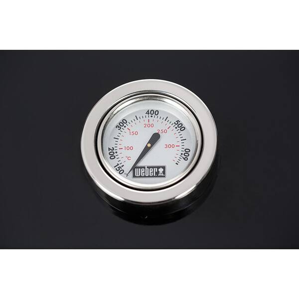 Spirit II E-210 2-Burner Liquid Propane Gas Grill Combo with Grill Cover