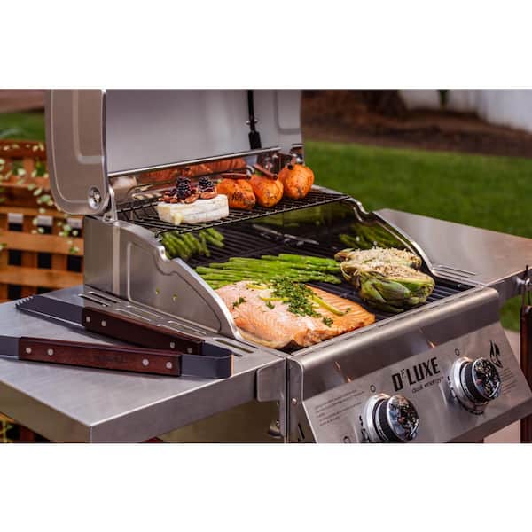 Deluxe 2-Burner Propane Gas Grill in Red