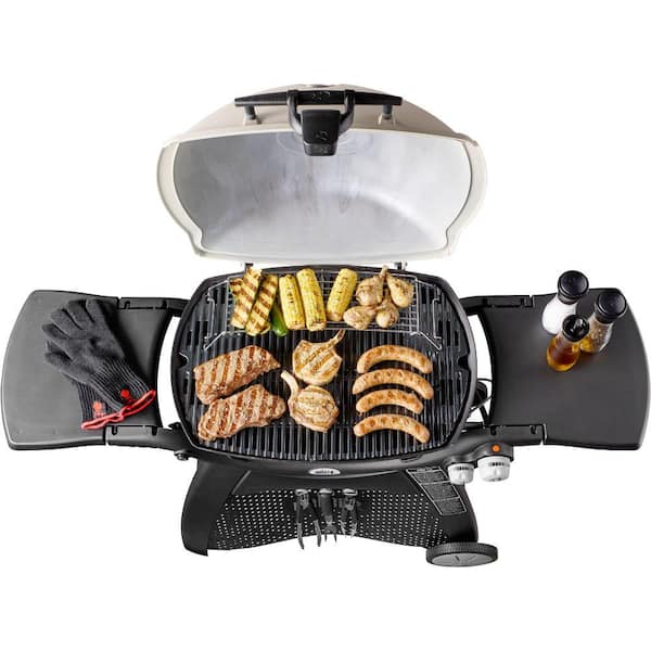 Q 3200 2-Burner Propane Gas Grill in Titanium with Built-In Thermomter