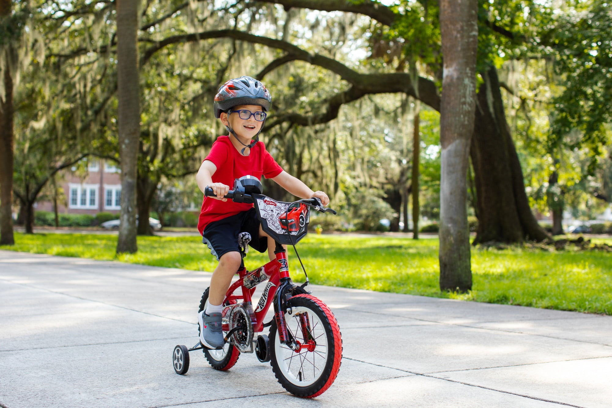 Wheels 14 Children's Bike