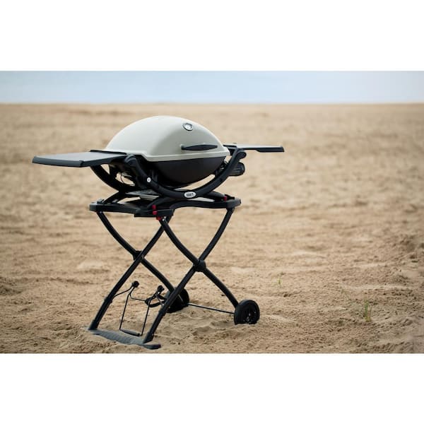 Q 2200 1-Burner Portable Propane Gas Grill in Titanium with Built-In Thermometer