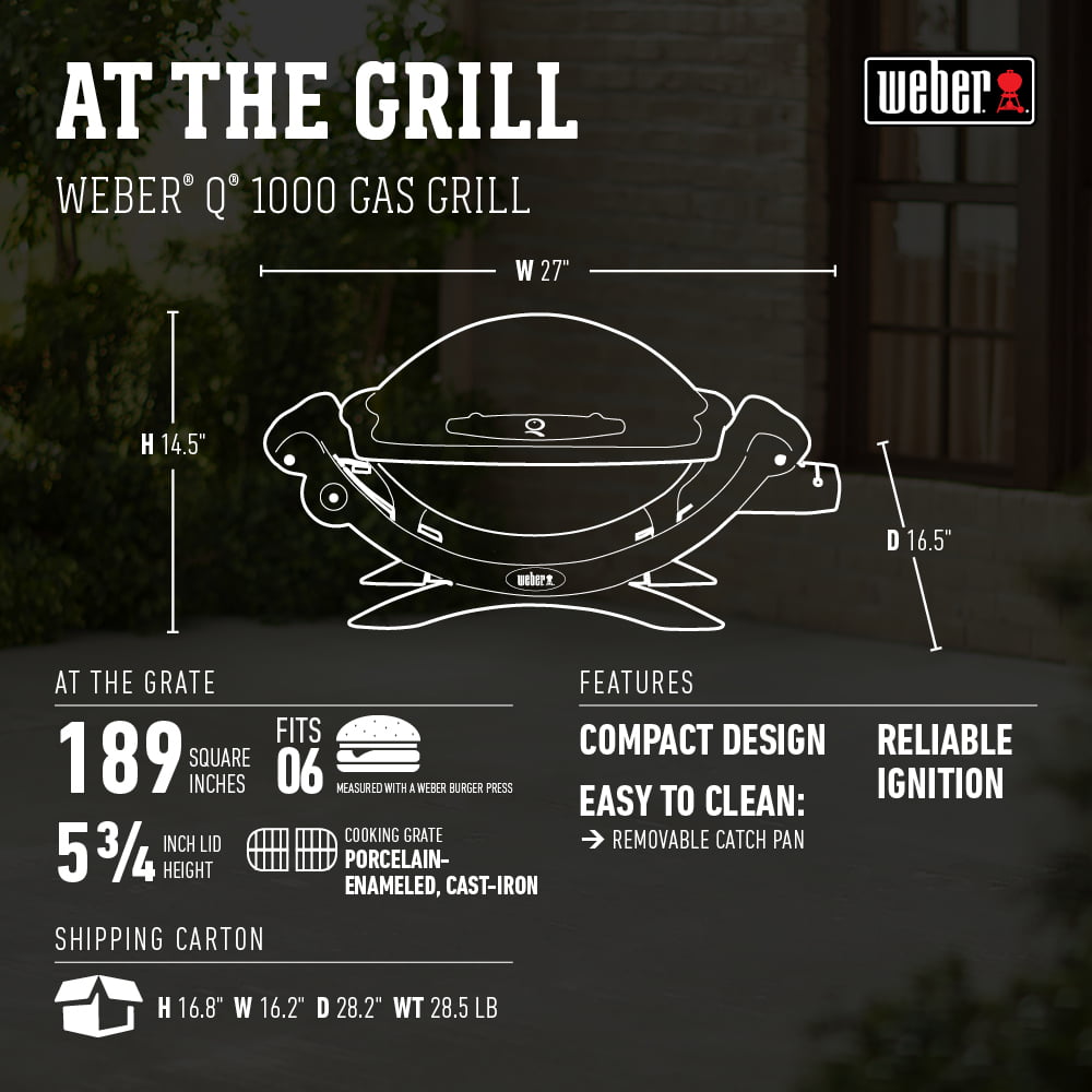 Q 1000 1-Burner Portable Gas Grill. Titanium