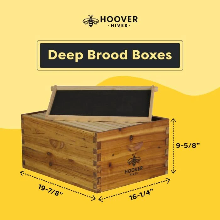 Hoover Hives Original Beeswax Coated Beehive Kit