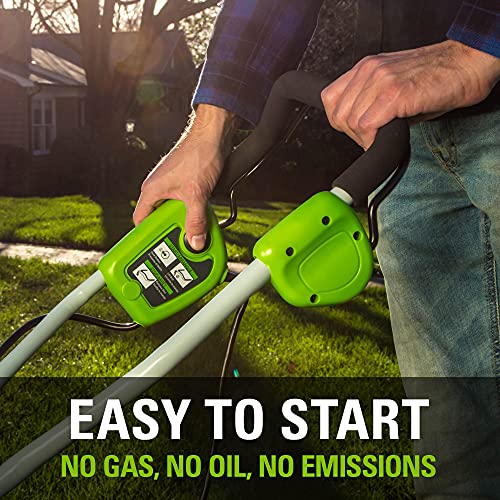 Greenworks 10 Amp 14 Corded Electric Dethatcher (Stainless Steel Tines)