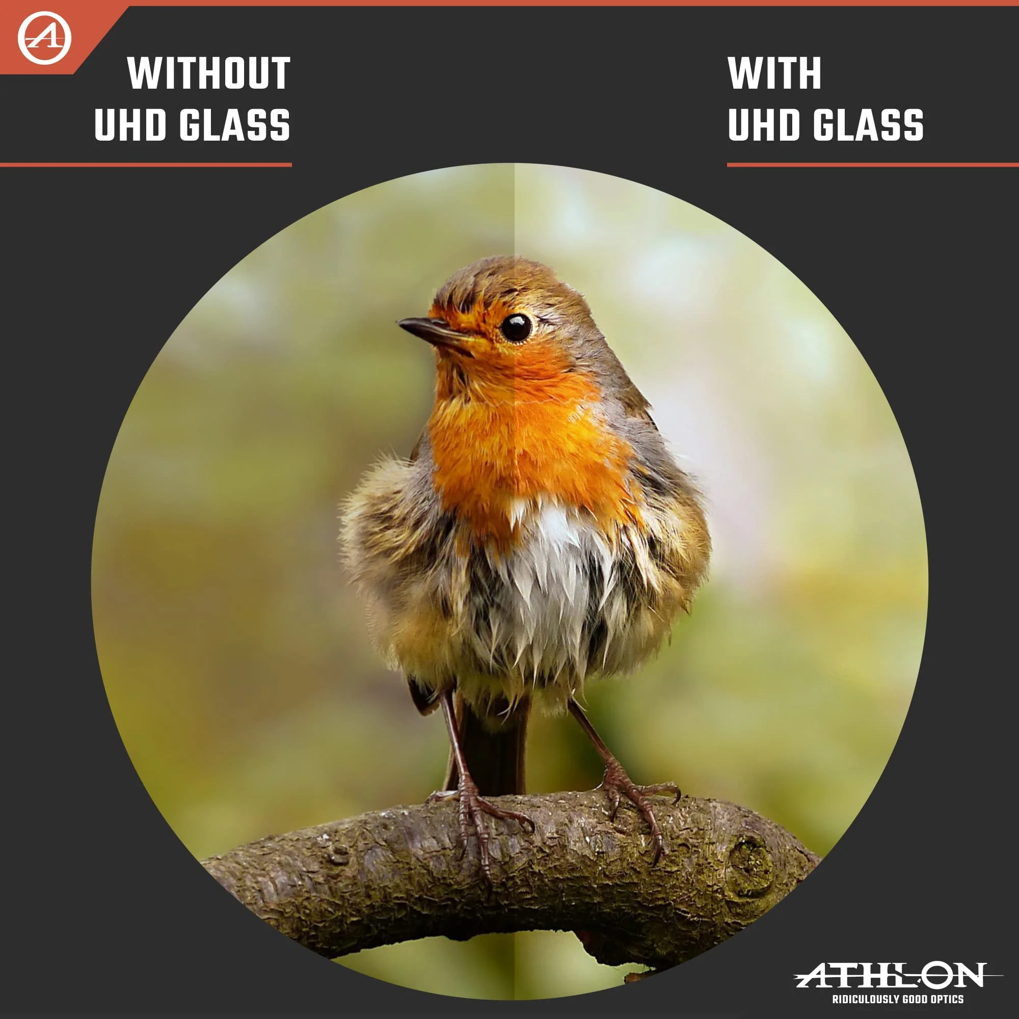 Athlon Optics 8x42 Midas UHD Gray Binoculars