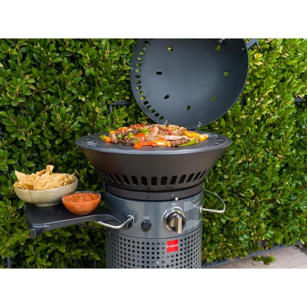 Element Hinged 2-Burner Propane Gas Grill in Gray