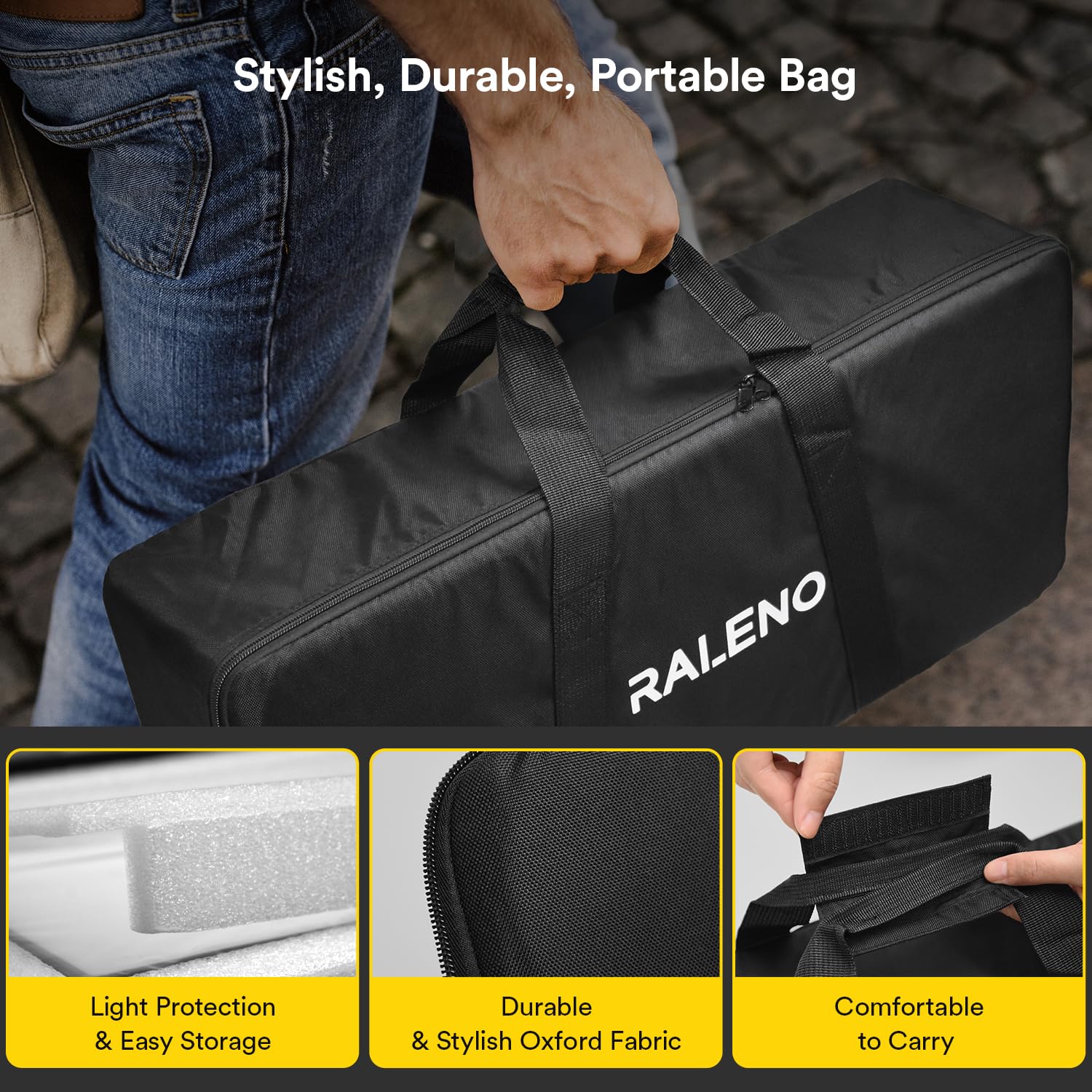 RALENO 2 Packs LED Video Light and Stand Lighting Kit