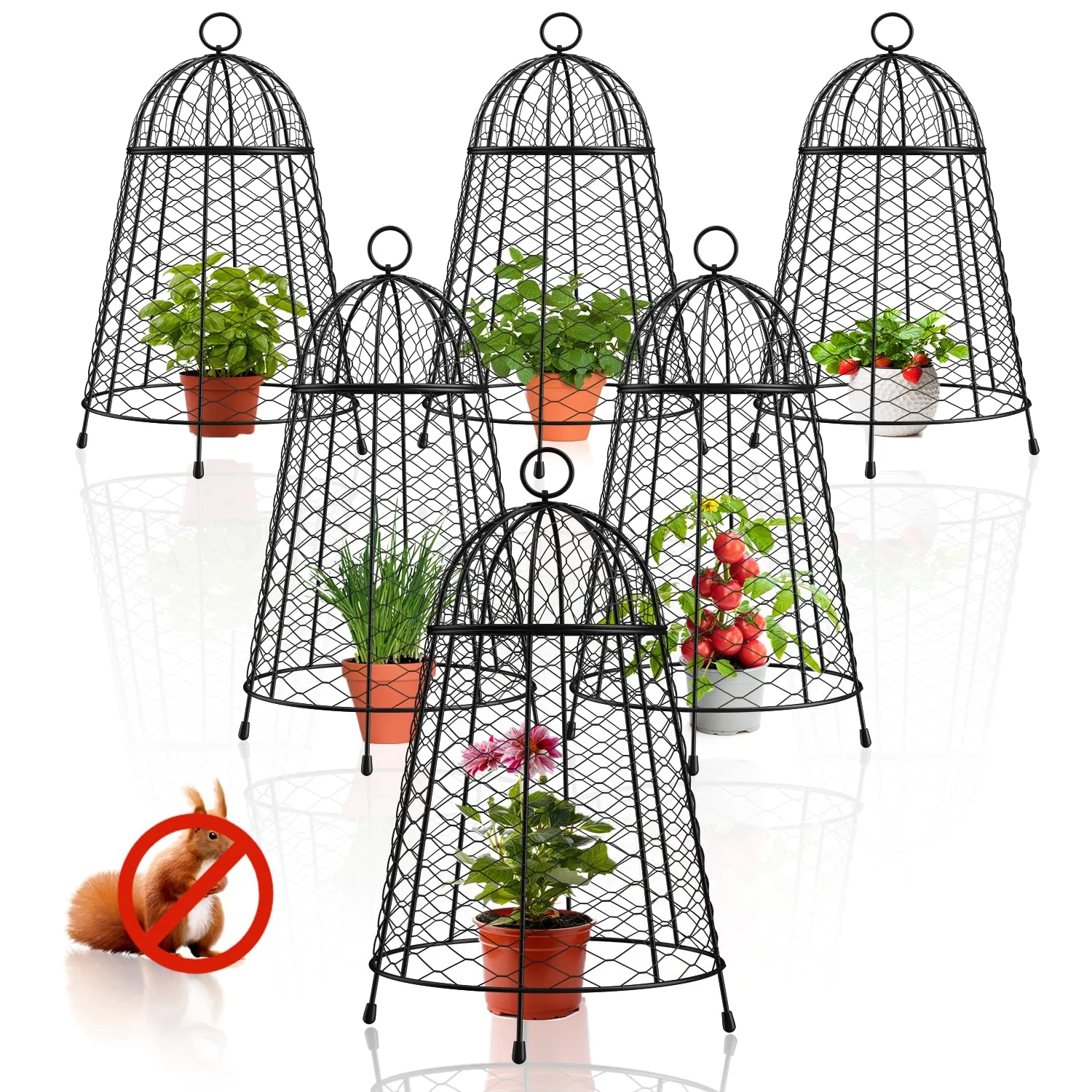Yolid Garden Cloches for Plants Set of 6. Chicken Wire Cloche Plant