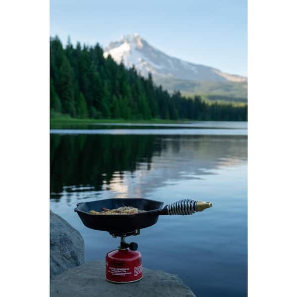 Cast Iron Collection 12 in. Cast Iron Skillet in Iron Patina with Lid