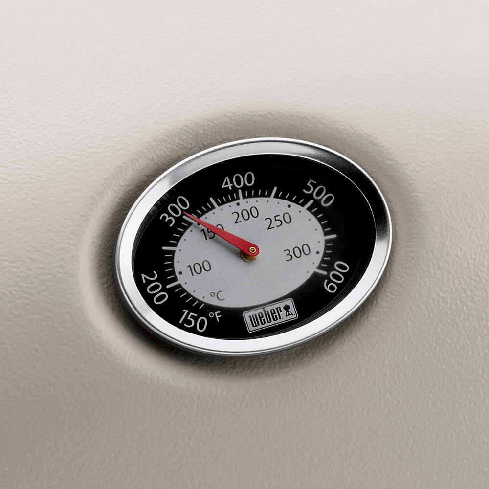 Q 2200 1-Burner Portable Gas Grill. Titanium