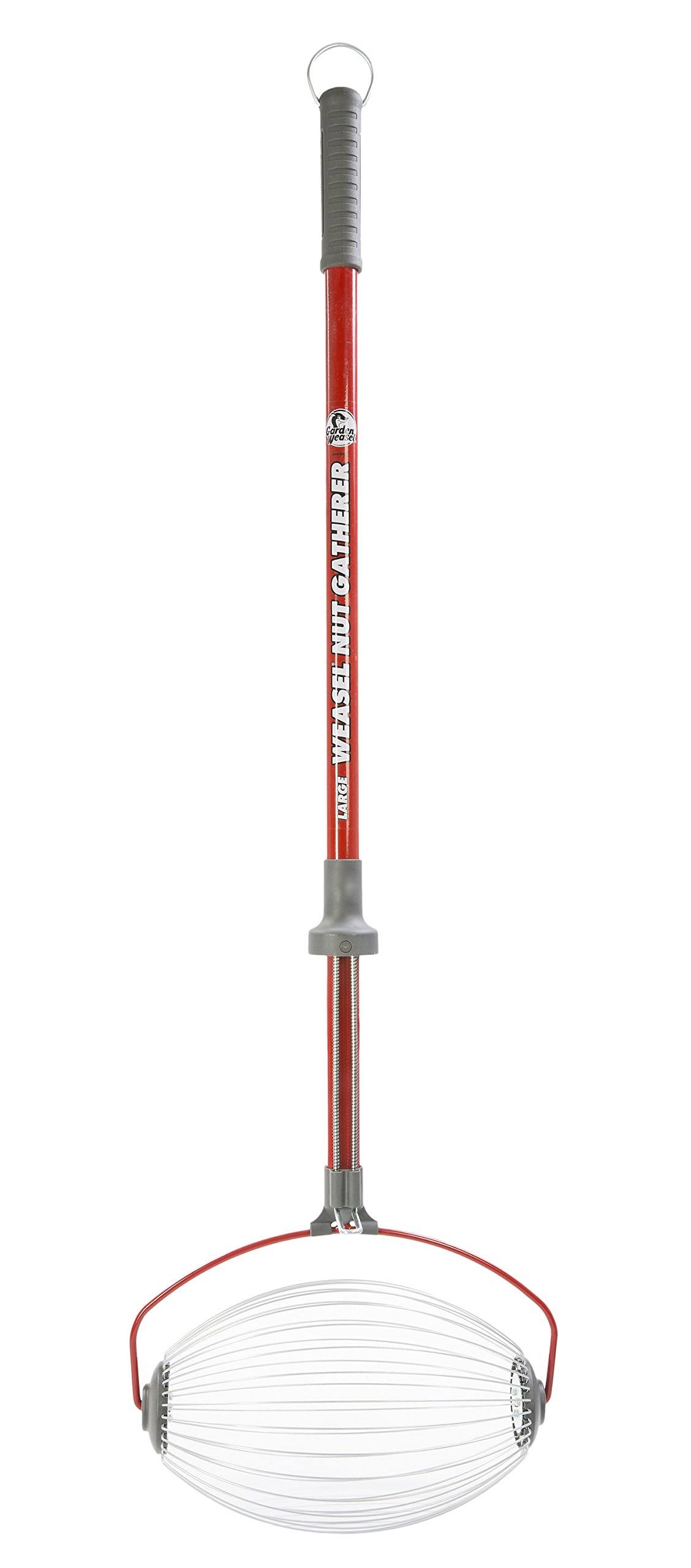 Garden Weasel 95404 Nut Gatherer, Large - Quantity 1