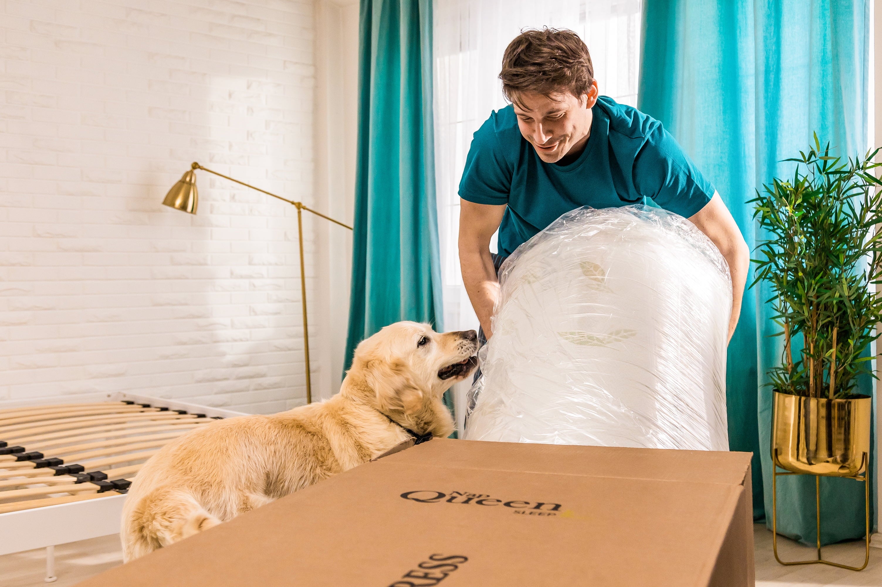 Anula 8 Green Tea Memory Foam Mattress. Queen