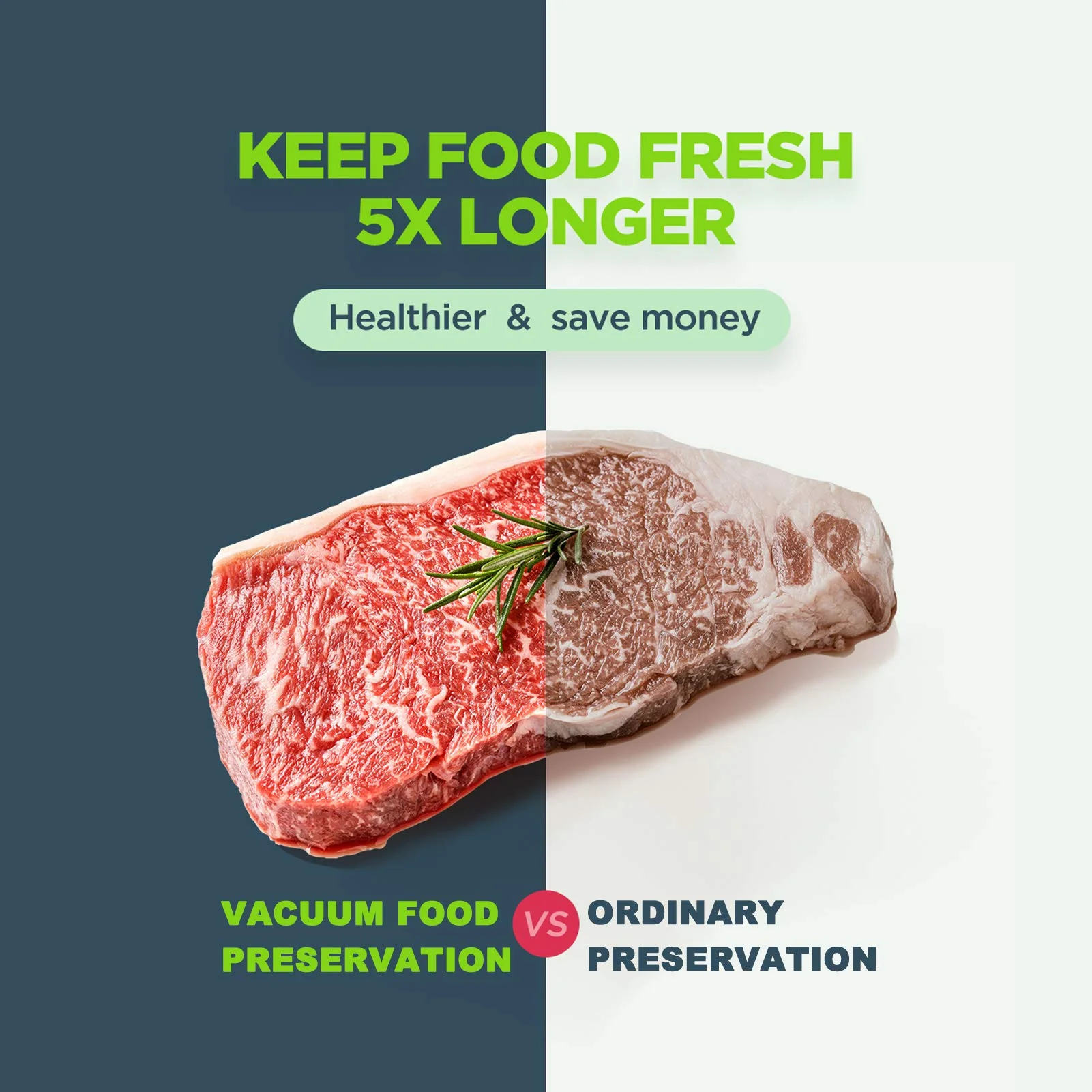 POTANE Precision Vacuum Sealer Machine with Starter Kit