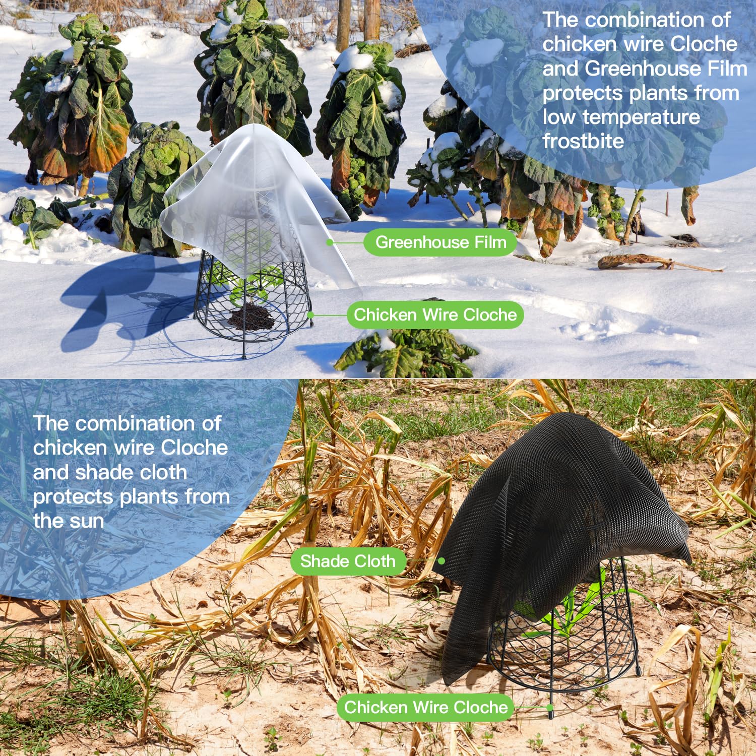 Yolid Garden Cloches for Plants Set of 6. Chicken Wire Cloche Plant