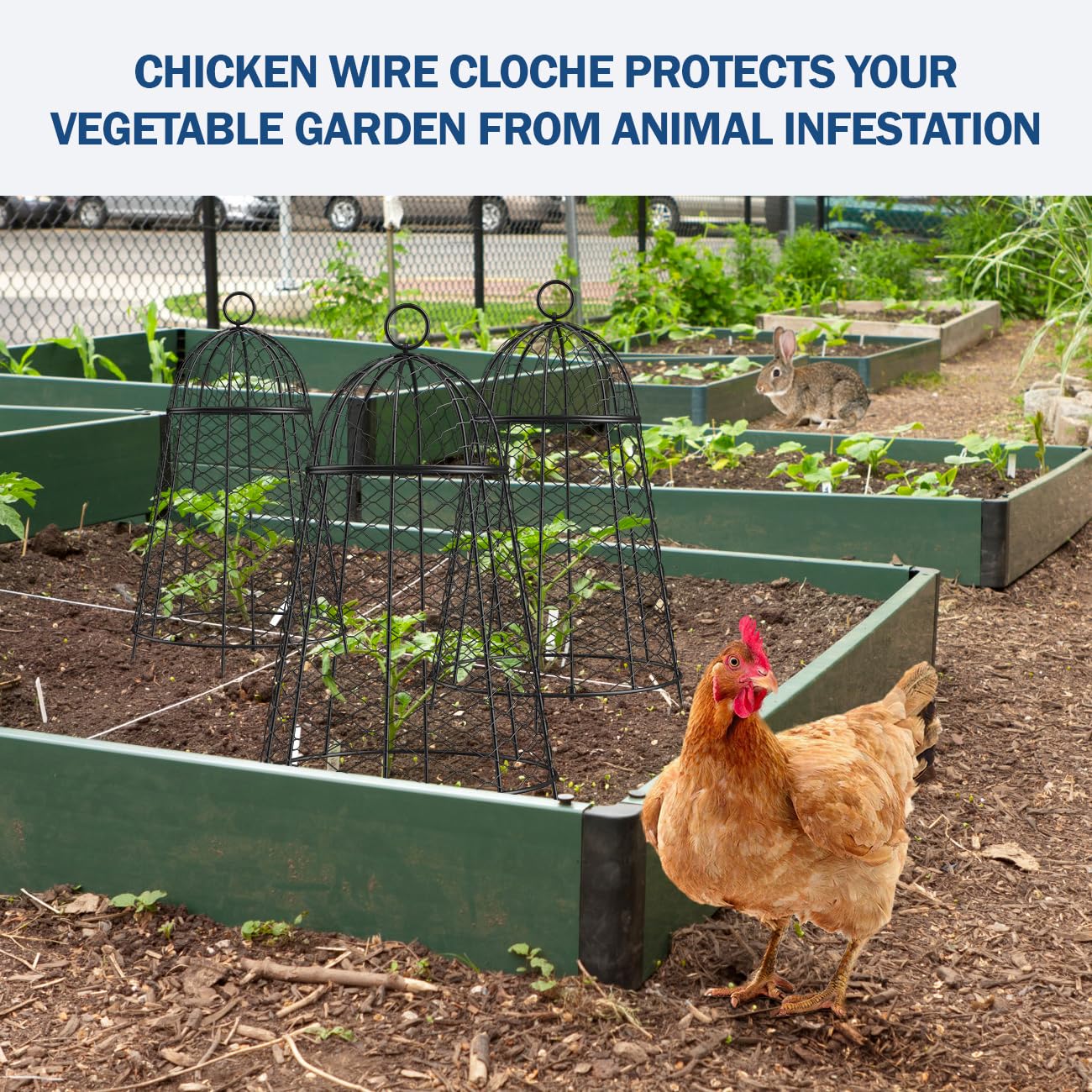 Yolid Garden Cloches for Plants Set of 6. Chicken Wire Cloche Plant