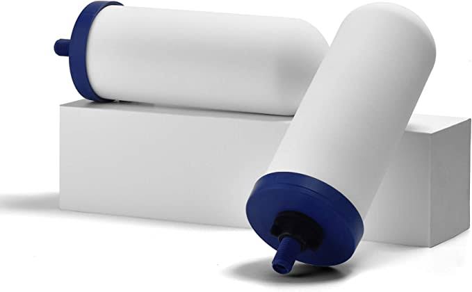 ProOne 9 inch G2.0 Replacement Filter Element (2 Pack)