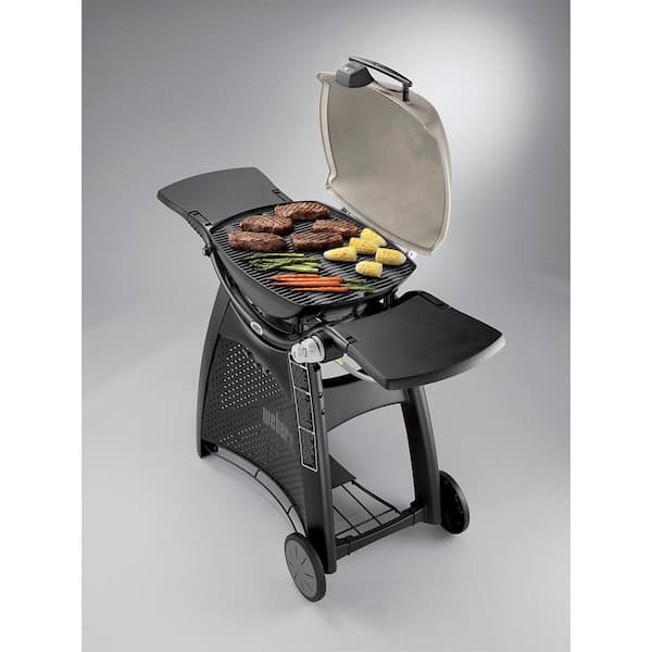 Q 3200 2-Burner Propane Gas Grill in Titanium with Built-In Thermomter