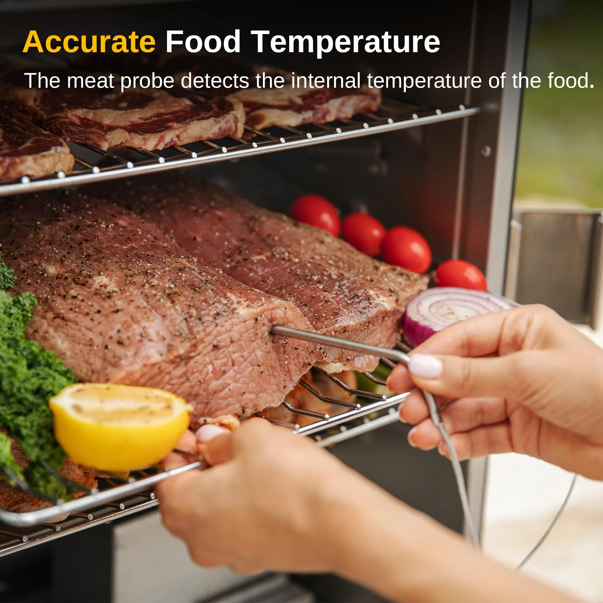 EAST OAK 30 Digital Electric Smoker with Glass Door