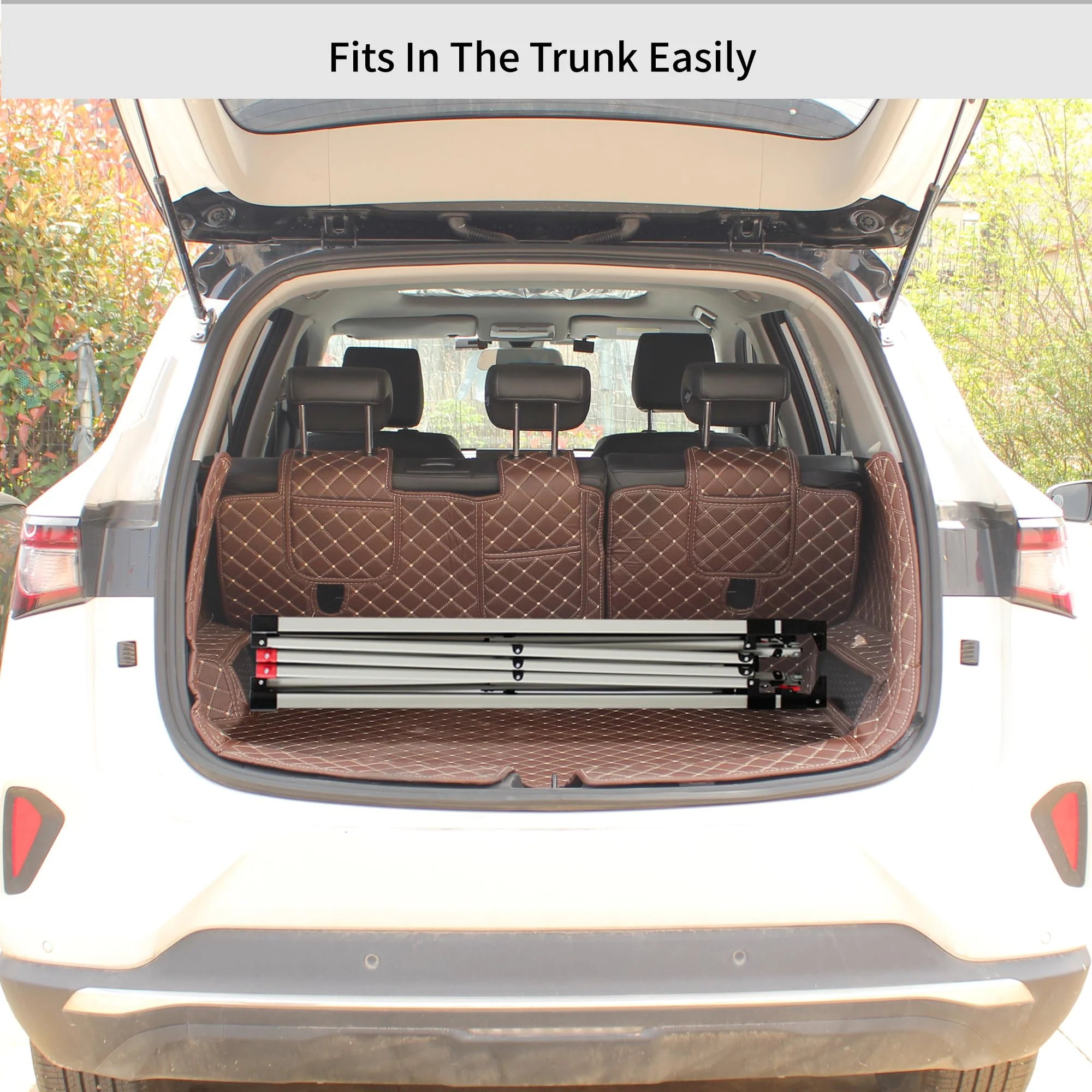 Crown Shades 10x10 Pop up Outside Canopy with Wheeled Carry Bag