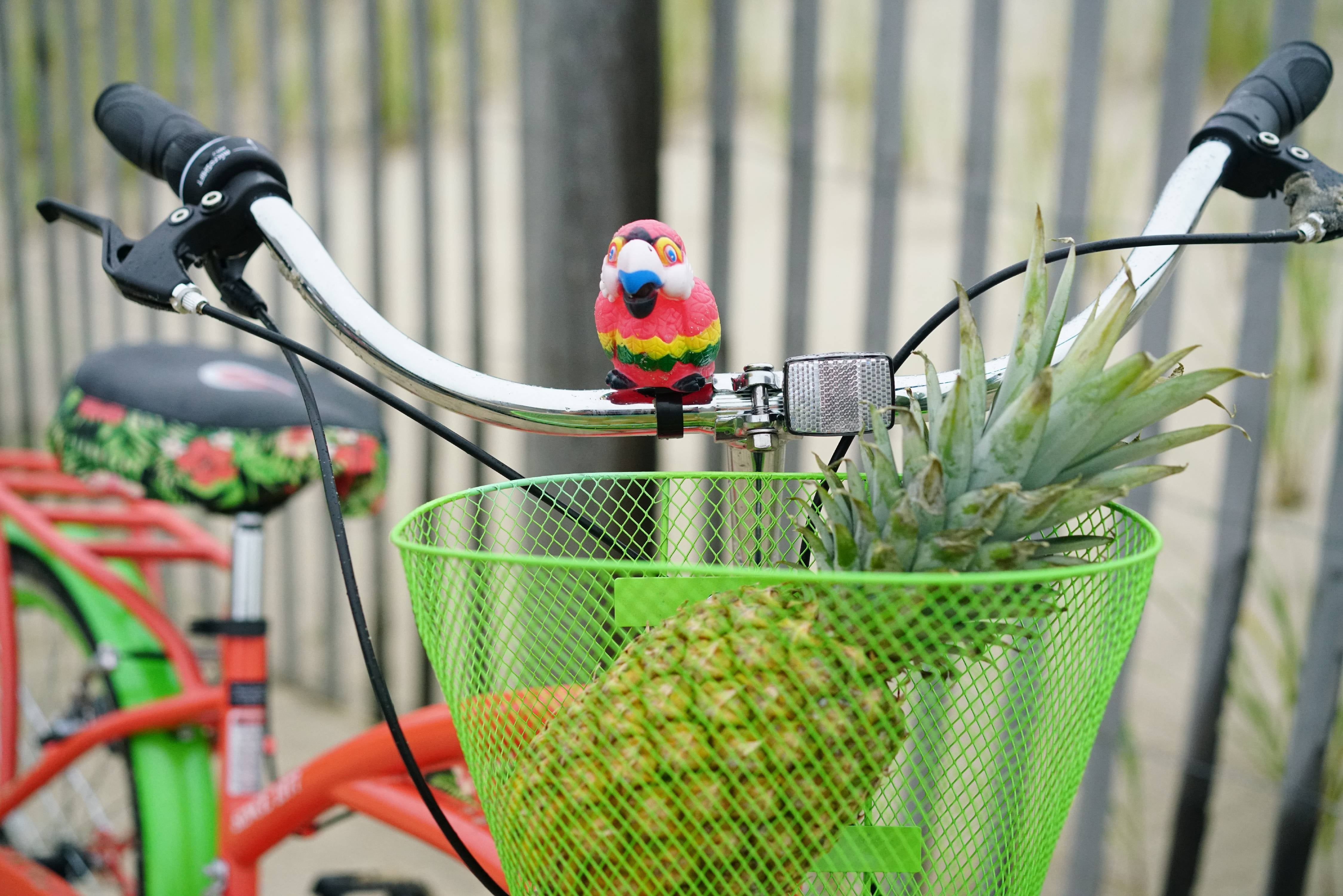 24 Island Life Multi Speed Girl's Bike. Coral/Green