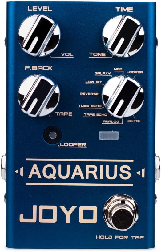 JOYO Aquarius R-07 R Series Digital Delay Effect Pedal 8 Digital Delay Effects with Looper (5 Minutes Recording Time) for Electric Guitar (R-07)