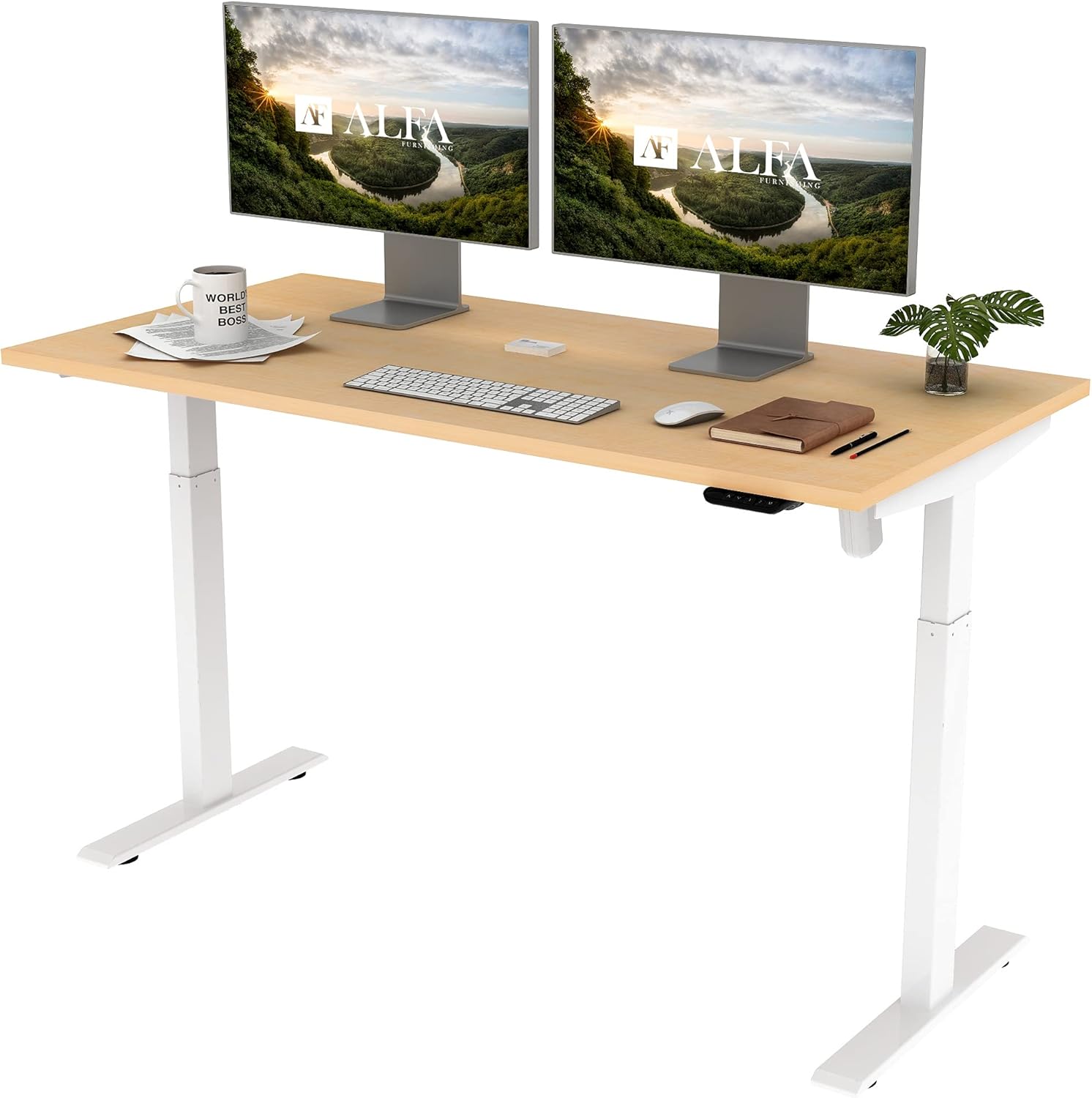 ALFA Furnishing Height Adjustable Desk, 60” x 30” inches Whole Piece Desk Board, 2 Pre-Set Memory Button Electric Sit Stand Desk Standing Desk for Home Office Workstation
