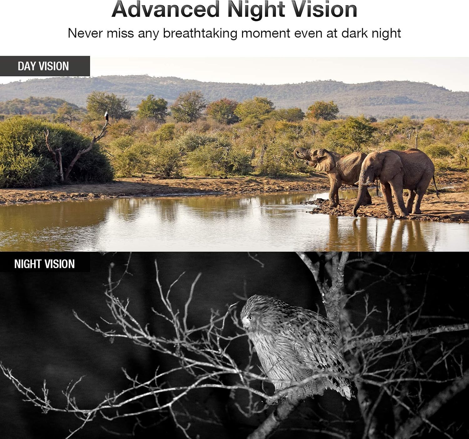 WiFi Trail Camera 4K 24MP Bluetooth Hunting Game Camera with Night Vision 82ft Motion Activated IP66 Waterproof, 0.2s Trigger Speed Pack of 2