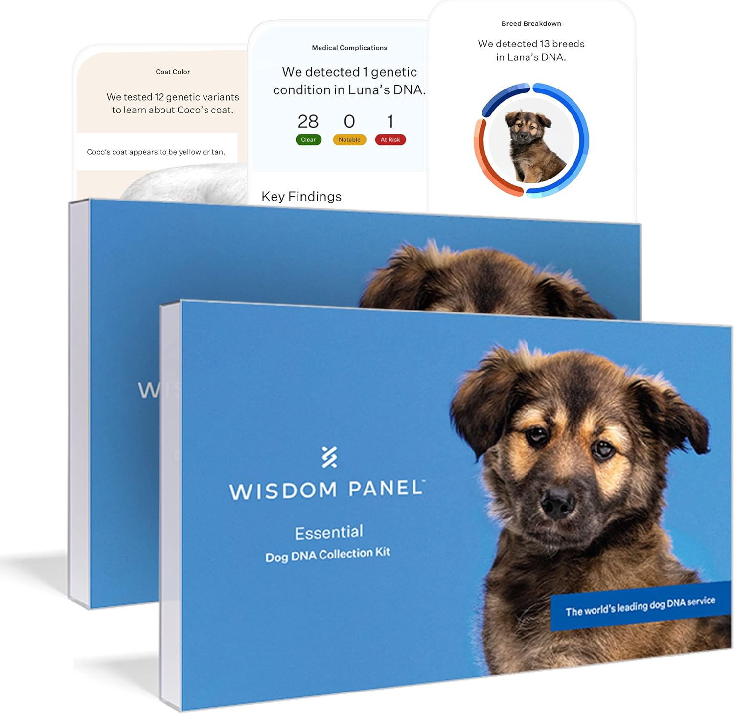Wisdom Panel Essential: Fundamental Dog DNA Test for Ancestry, Breed and Medical Traits/Conditions - 2 Pack