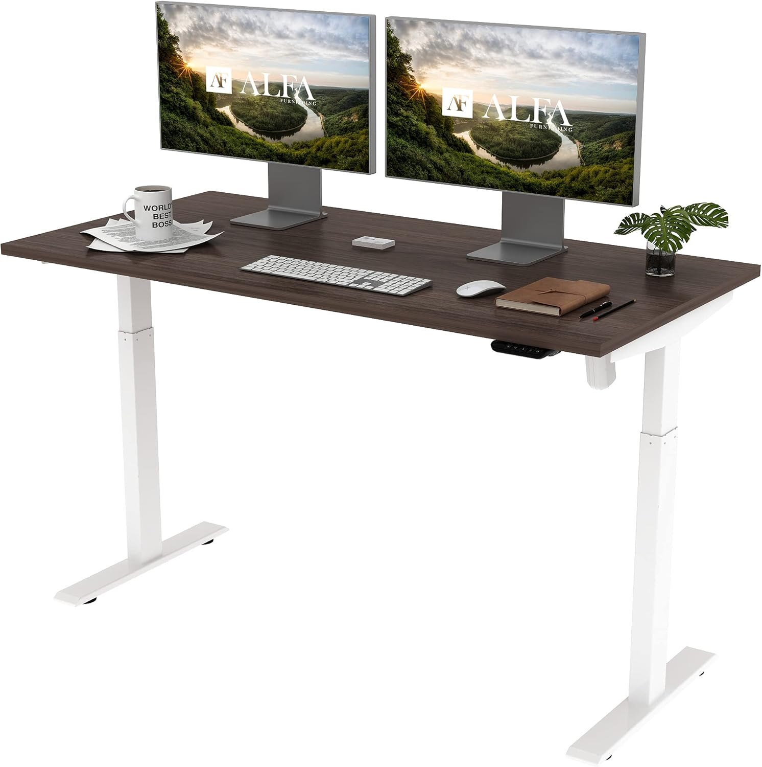 ALFA Furnishing Height Adjustable Desk, 60” x 30” inches Whole Piece Desk Board, 2 Pre-Set Memory Button Electric Sit Stand Desk Standing Desk for Home Office Workstation