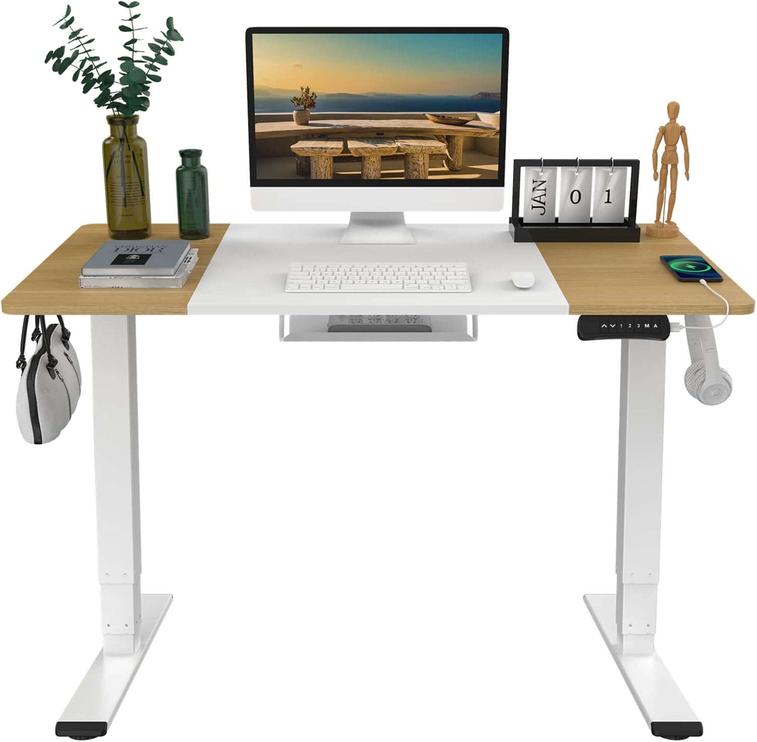 FLEXISPOT EP4 Electric Standing Desk 63