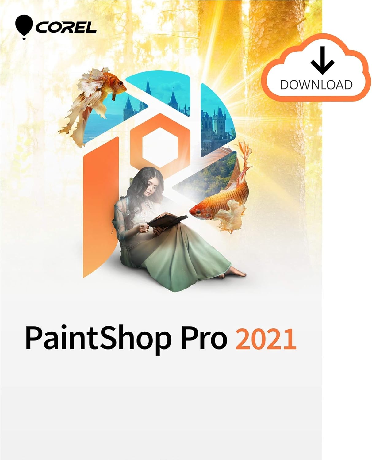 Corel PaintShop Pro 2021 | Photo Editing & Graphic Design Software | AI Powered Features [PC Download] [Old Version] Pack of 2