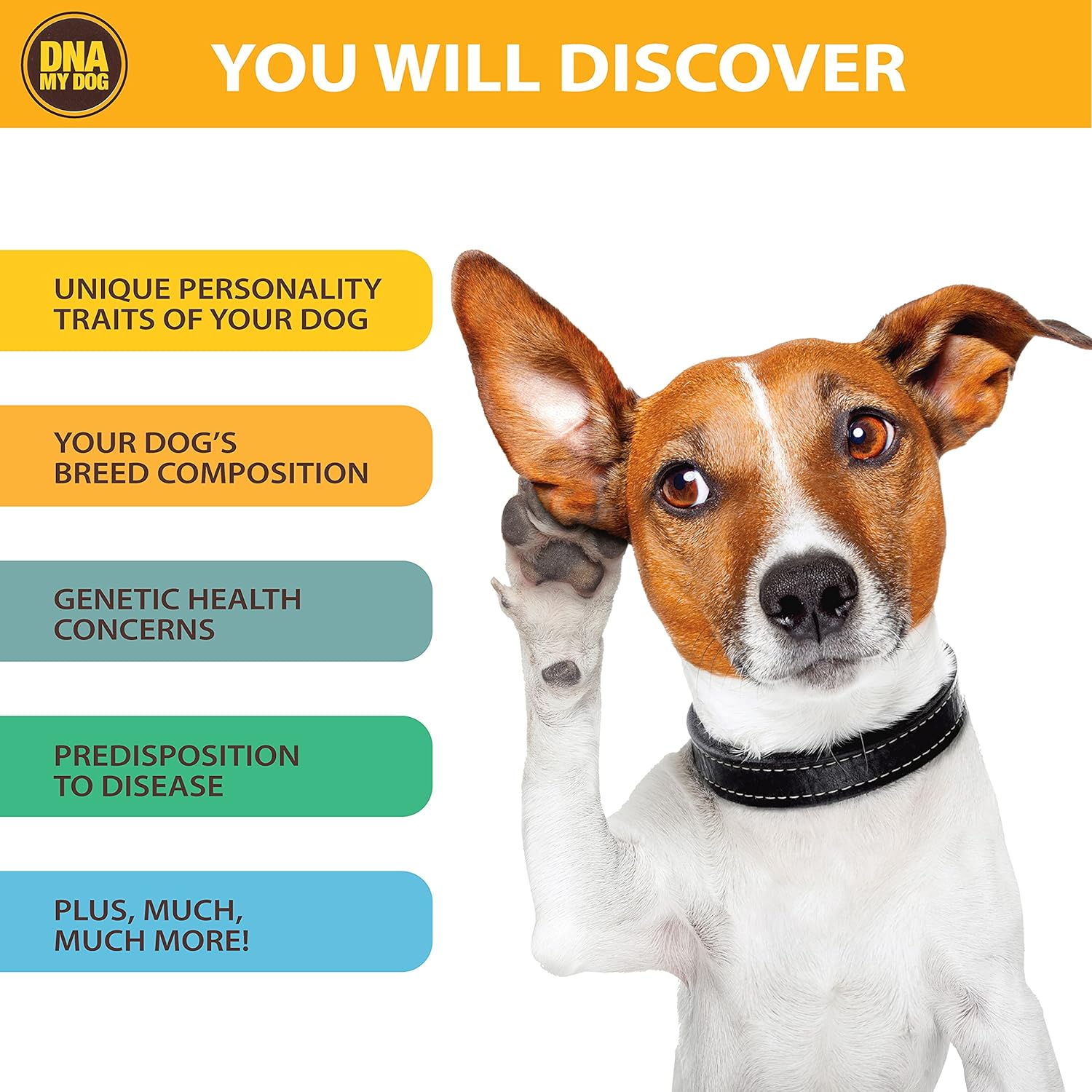 Dna My Dog Canine Breed Identification Test Pack of 2
