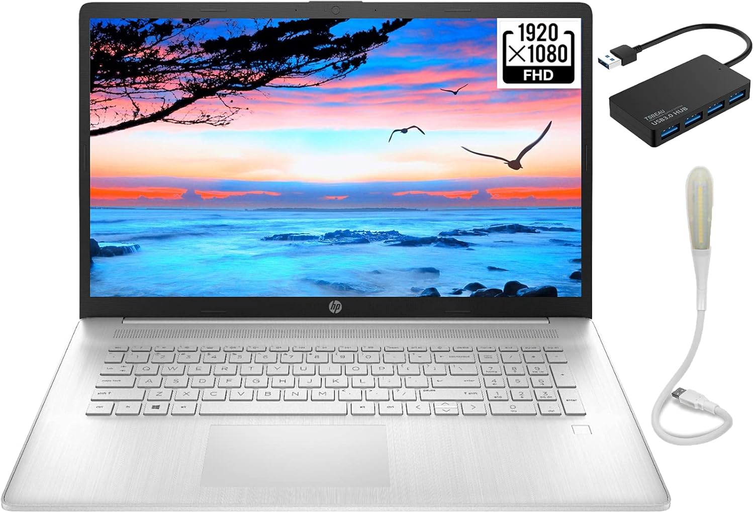 HP 17.3In 1920 x 1080 Full HD Display Laptop, AMD Ryzen 5 5500U (6-Core), Wi-Fi 5, Bluetooth 4.2, Up to 8.5 Hours Battery Life, Silver, TSBEAU USB 3.0 Hub + USB Light, 8GB RAM 1TB SSD